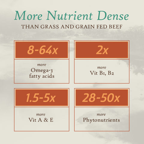 Wild Axis Deer and Organ Jerky Bites
